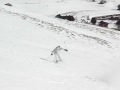 Ski Freeriding in carinthia Ski Freeriding in carinthia
