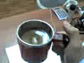 magic mug