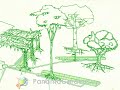 Panama Gardens Water Management Without Contamination