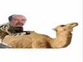 RASD MAROC SAHARA FILME ZIZONIKRASD