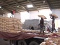 Mozambique RoughFinal001.mp4