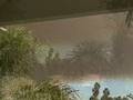 smoky daze.wmv