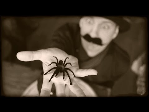 fear of spiders - Show this video to someone who's afraid of spiders! on facebook: http://tinyurl.com/spiders-conquer-your-fear links : http://www.youtube.com/watch?v=9WiHDAhb...