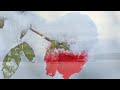 Ambient Music - Now Approaches December