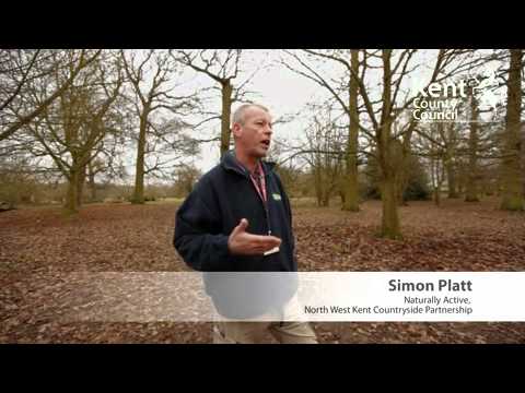 how to involve learners in sustainable woodland management