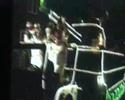 Carnaval 2008