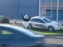 Muscle Man Trains Panda
