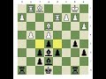 Good and Bad Bishops; Ivanchuk v. Anand, 1992