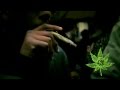 420 Art Party hosted by Jimmy Chiale - 420 Riddem ...