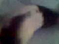 My Rat Spyro Making Creapy Noises
