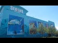 Hotels Near Sea Life Aquarium Auburn Hills Mi