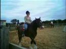 Horses I love