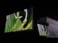 videos de World Thinnest  Display Flapping in Wind Samsung SDI AMOLED FPDI 2008