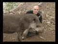 Passeio Animal - Anta