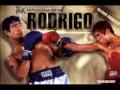 Resumen sobre el Potro Rodrigo A. Bueno