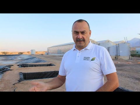 Jordanien: Gurken aus Solarstrom und Salzwasser