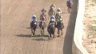 Mister Nofty Easily Wins 1st Level Allowance Parx 8 June 26 2016