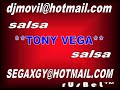 **TONY VEGA-DILE** rDmX **TONY VEGA-DILE** rDmX