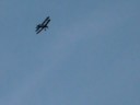 sopwith camel 60