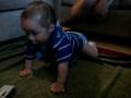 videos de Ethan Crawling .... FORWARD