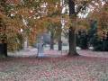 Volkspak Rehberge Wedding alter Friedhof am Donagestell