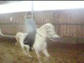 Tous au galop