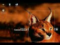 Pardus (linux) windows xp Beryl ALL in one