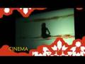 videos de AFRICAT 2008