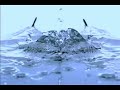 アナ  ana  / next