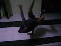 trailer bboy lil-oussama 2009