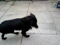 K850i video test1 K850i video test1