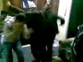 videos de ALKOLİK HAREKET ENGELLENEMEZ