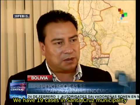 Bolivia takes extreme measures to prevent chikungunya spread