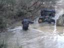 HBLRO Mike Wolfe 4x4 Winch Challenge Slab Common 2008 - Ripley