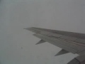 KLM wing