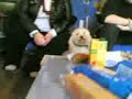 apr�s match � chamb�ry avec les tics... une soupe aux carottes mais surtout un chien, qui aboyait lorsqu'on lui disait 