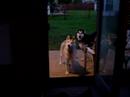 Luka Wants In!