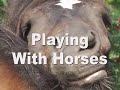 Playing With Horses Barefoot and Booted MIX Playing With Horses Barefoot and Booted MIX