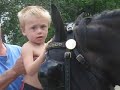 Playing With Horses Barefoot and Booted MIX Manele-Gratis.net