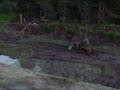 kitimat outlander 800
