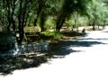 videos de Dham2288 fantastic fishing trip 2009 4/4