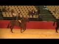 Equitana_2008_2.mov