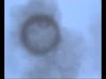 Vortex Smoke rings
