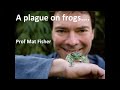 Mat Fisher - A plague on frogs