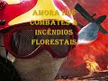 4º aniversario dos bombeiros voluntarios da amora
