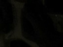 G Locrian Stomp Groove G Locrian Stomp Groove