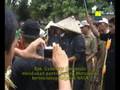 Kesaksian JAGUNG pupuk organik Natural Nusantara (NASA)