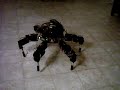 Hexapod walking robot