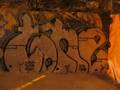 St.Johns Taggers
