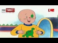 Caillou nun Dogumgünü Hediyesi